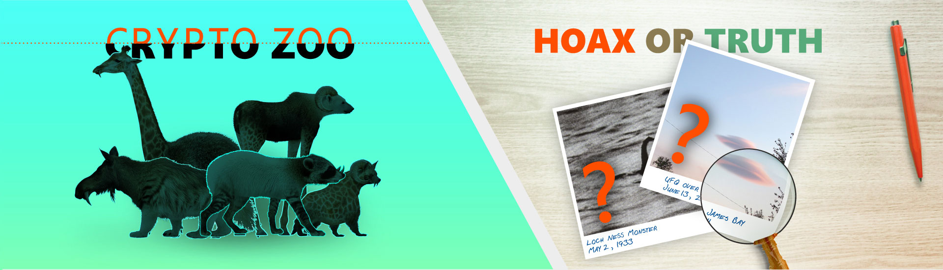 Truth or Lie? The Game