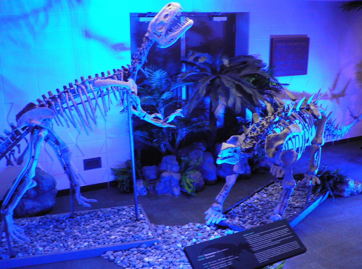 Dinosaurs Unearthed 2