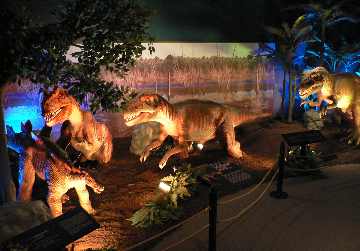 Dinosaurs Unearthed 2