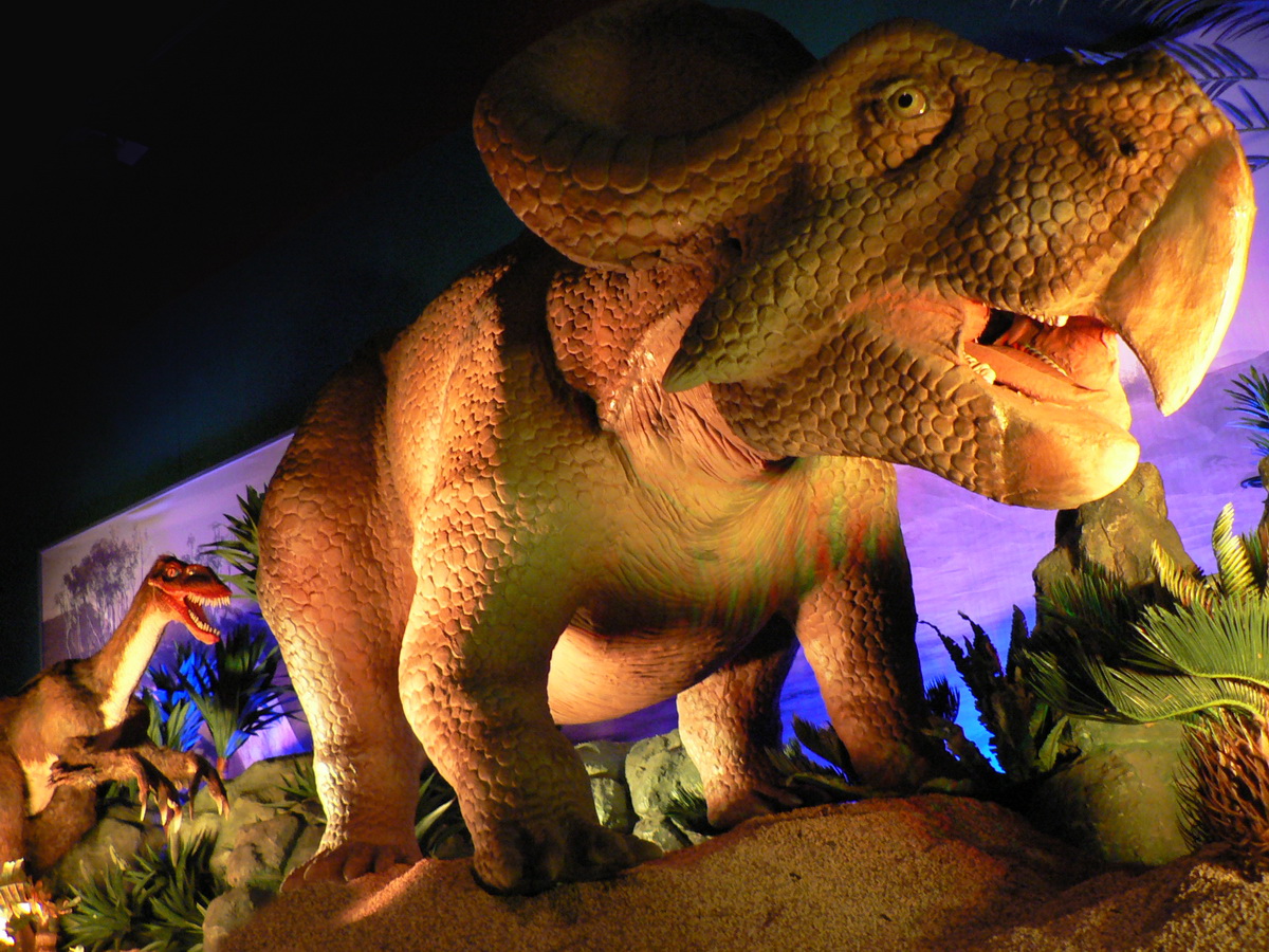 Dinosaurs Unearthed 2