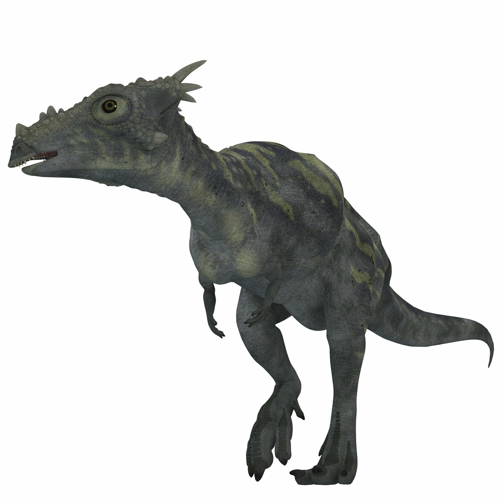 Dino Dracorex