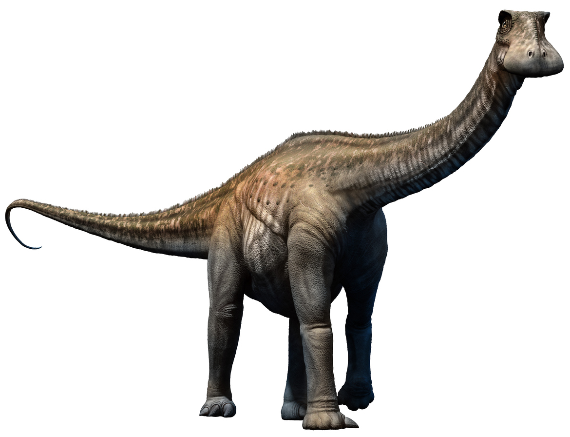 Dino Nigersaurus