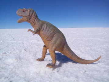Dinosaures