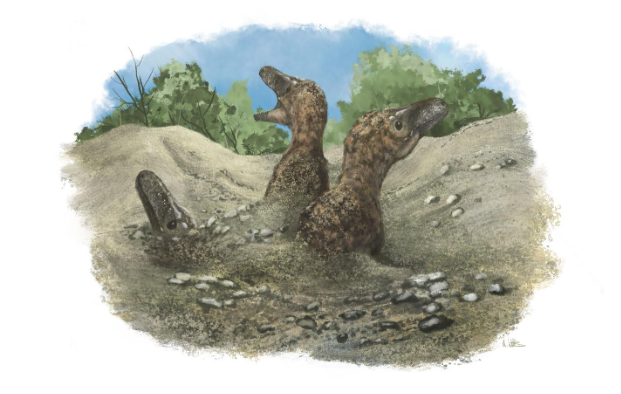 Dinosaures