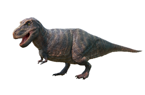 Dinosaures