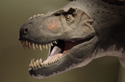 Dinosaures