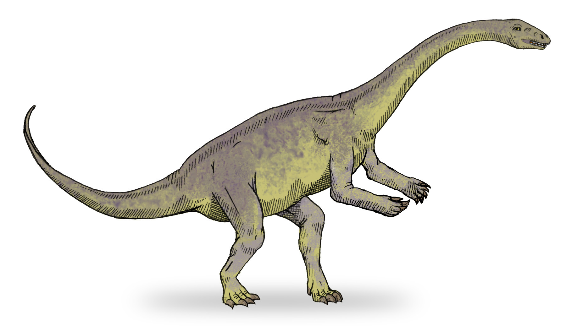 Dinosaures