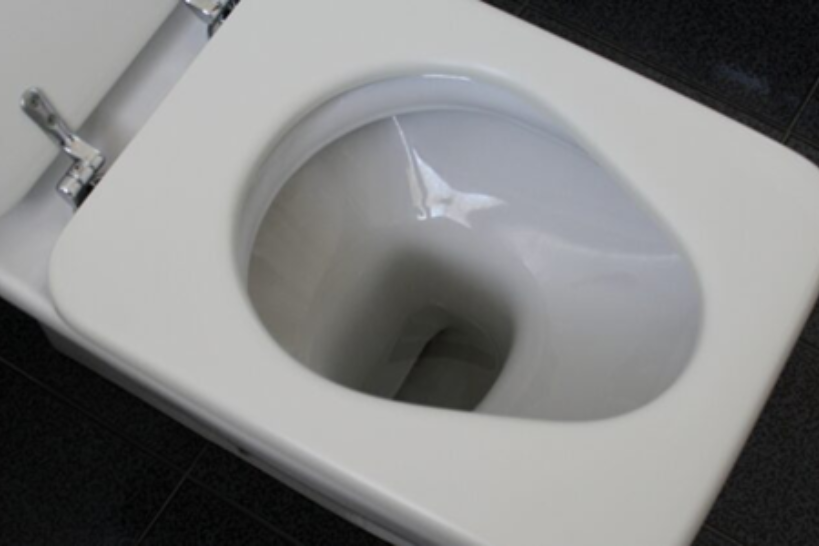 L’invention d’une toilette intelligente a été soulignée