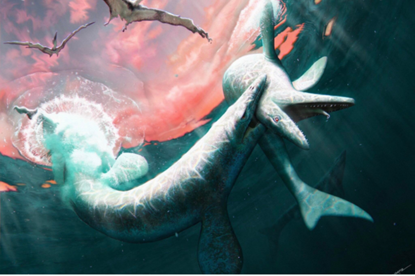 Photo d'une nouvelle espèce de lézard aquatique