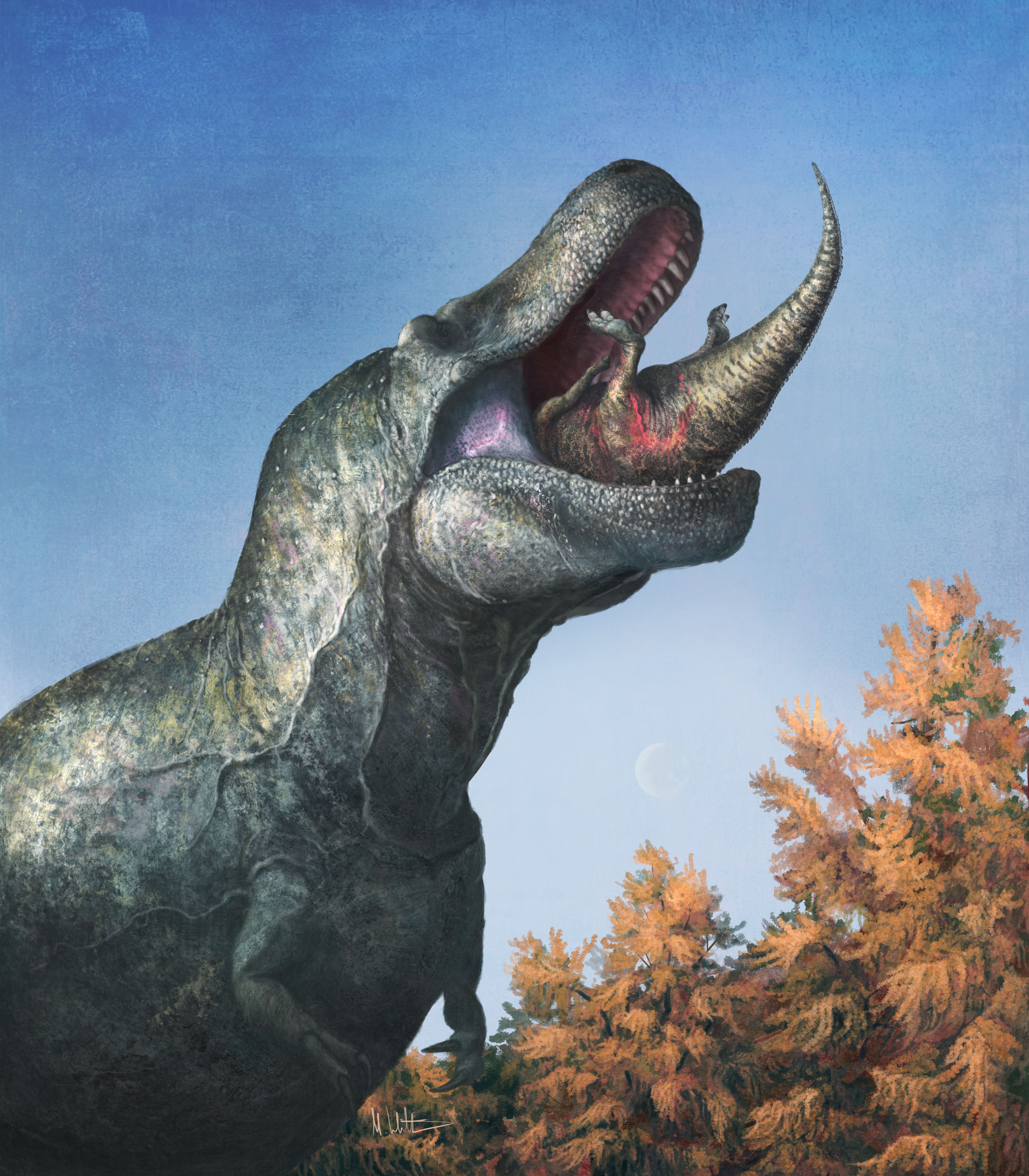 Dinosaures