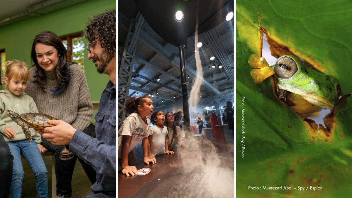 An action-packed spring break at the Science Centre | Montreal Science ...