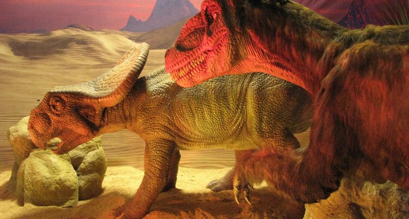 Dinosaurs Unearthed