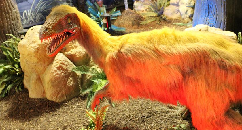 Dinosaurs Unearthed