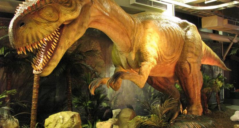 Dinosaurs Unearthed