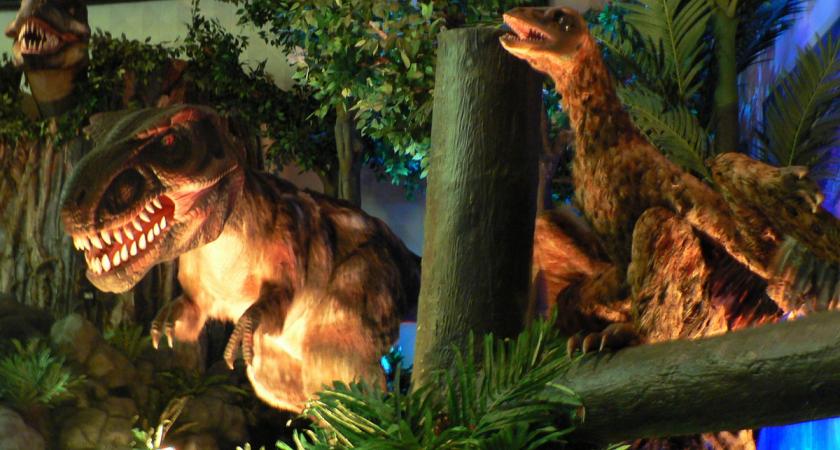 Dinosaurs Unearthed 2 Montreal Science Centre