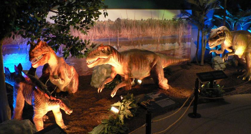 Dinosaurs Unearthed 2 Montreal Science Centre