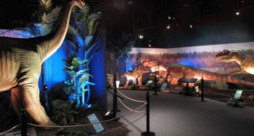 Dinosaurs Unearthed 2 Montreal Science Centre