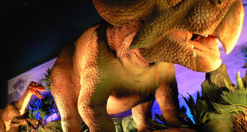 Dinosaurs Unearthed 2 Montreal Science Centre