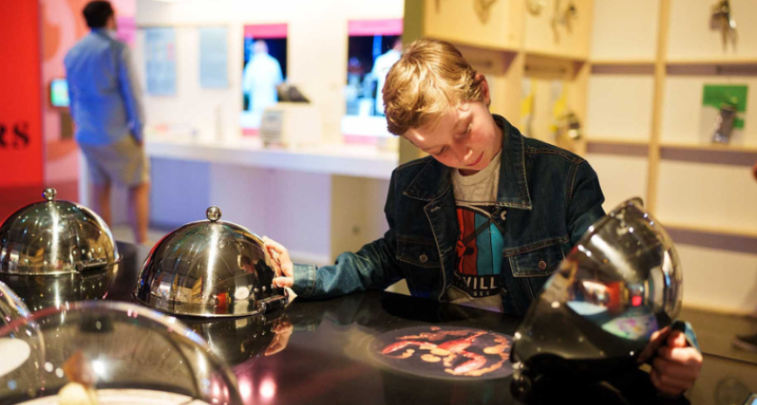 Interactif dans l'exposition Banquet